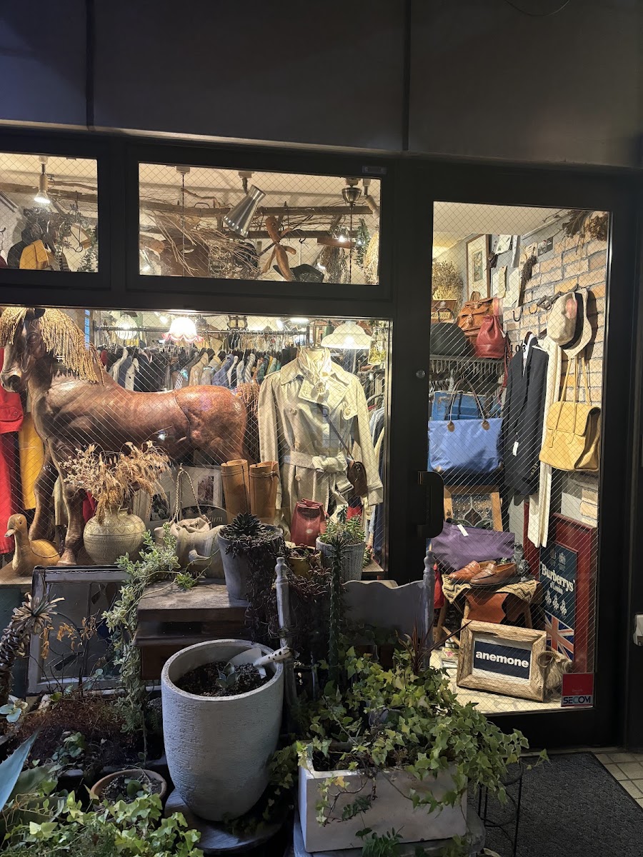 anemoneの入口と店内の衣類